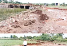 ವರುಣನ ಅಬ್ಬರಕ್ಕೆ : ಎರಡು ಎಕರೆ ಶೇಂಗಾ ನಾಶ, 4 ಲಕ್ಷ ರೂ. ನಷ್ಟ!
