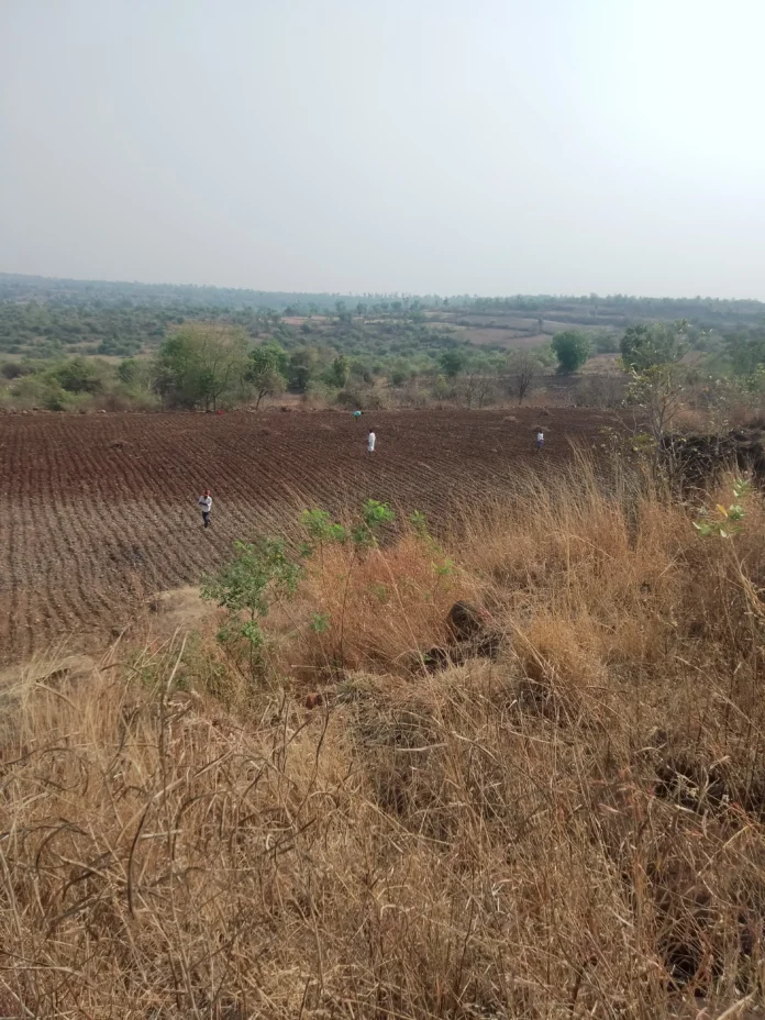 yadgir 6
