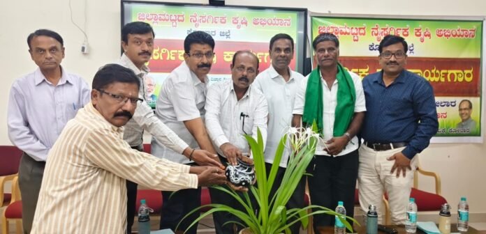 16 kolar-4