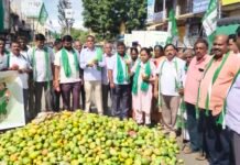 ಮಾವಿಗೆ ಸೂಕ್ತ ಬೆಂಬಲ ಬೆಲೆಗೆ ಒತ್ತಾಯಿಸಿ ಜೆಡಿಎಸ್ -ರೈತಸಂಘ ಪ್ರತಿಭನೆ