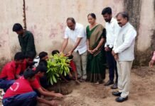 ವಿದ್ಯಾರ್ಥಿಗಳಲ್ಲಿ ಪರಿಸರ ಪ್ರಜ್ಞೆ ಮೂಡಿಸಲು ಕರೆ
