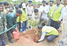 ಸಾವಿರ ಗಿಡ ನೆಡುವ ಕಾರ್ಯಕ್ರಮ