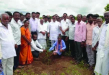 ವನಮಹೋತ್ಸವ ಕಾರ್ಯಕ್ರಮ