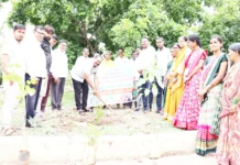 ಹೆಡಗಾಪೂರ ಗ್ರಾಪಂನಲ್ಲಿ ವಿಶ್ವ ಪರಿಸರ ದಿನಾಚರಣೆ