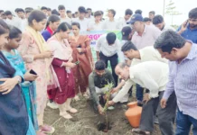 ಜನ್ಮದಿನಕ್ಕೆ ಸಸಿ ಉಡುಗೊರೆ ನೀಡಿ