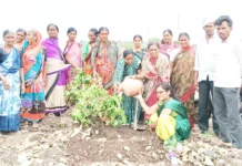 ಅಲಿಯಂಬರದಲ್ಲಿ ವಿಶ್ವ ಪರಿಸರ ದಿನಾಚರಣೆ