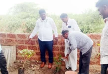 ಚಿಮಕೋಡ ಗ್ರಾಮದಲ್ಲಿ ಸಸಿ ನೆಡುವ ಮೂಲಕ ಅರ್ಥಪೂರ್ಣ ಆಚರಣೆ
