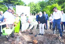 ವಿಶ್ವ ಪರಿಸರ ದಿನಾಚರಣೆ