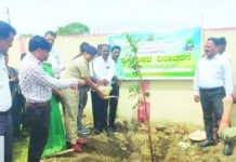 ವಿಶ್ವ ಪರಿಸರ ದಿನಾಚರಣೆ