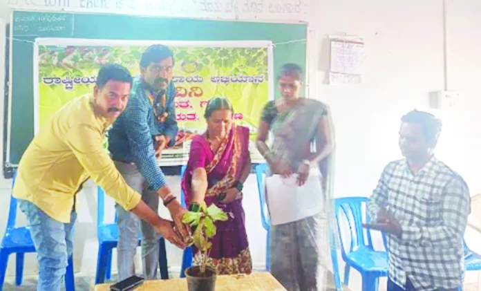gadag11