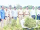 3.75 ಲಕ್ಷ ರೂ.ಮೌಲ್ಯದ 7 ಕೆ.ಜಿ.ಗಾಂಜಾ ಜಪ್ತಿ
