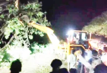 ಚಿಕ್ಕಪಡಸಲಗಿ ಗ್ರಾಮದಲ್ಲಿ ಮಳೆ-ಗಾಳಿಗೆ ಮರಗಳು ಉರುಳಿ ಬಿದ್ದು ಸಂಚಾರ ಸ್ಥಗಿತ