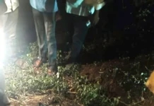 ಕಾರು-ಬೈಕ್ ಮುಖಾಮುಖಿ ಡಿಕ್ಕಿ: ಬೈಕ್ ಸವಾರ ಸ್ಥಳದಲ್ಲೇ ಸಾವು