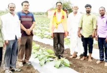 ತರಕಾರಿಗಳ ಸೇವನೆಯಿಂದ ಸದೃಢ ಆರೋಗ್ಯ