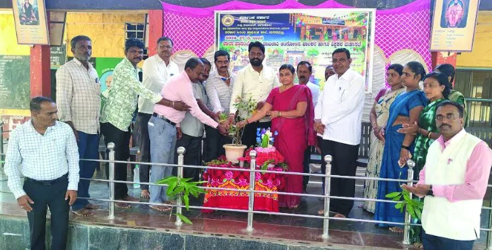 rabkavi2