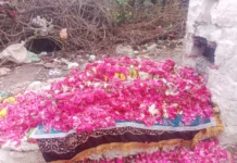 25 ರಿಂದ ದಾದಾ ಅಲಿಅಬ್ಬಾಸ ಜಾತ್ರೆ