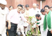 ಸಸಿ ನೆಟ್ಟು ಪರಿಸರ ಸಂರಕ್ಷಿಸುವುದು ಪ್ರತಿಯೊಬ್ಬರ ಜವಾಬ್ದಾರಿ