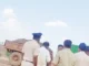 ವಿವಾದಿತ ಜಮೀನು ಸಮೀಕ್ಷೆ ವೇಳೆ ತೆಲಂಗಾಣ ಗಡಿ ಗ್ರಾಮಸ್ಥರಿಂದ ಕಲ್ಲು ತೂರಾಟ