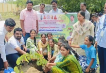 ಸಾವಿರ ಸಸಿ ನೆಡುವ ಗುರಿಯೊಂದಿಗೆ ಸುನಿಲ್ಹಳ್ಳಿ ಹಸಿರು ಅಭಿಯಾನ