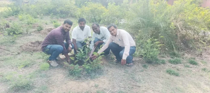 vijapur 1