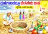 ಮಳೆಗಾಲದಲ್ಲೂ ಬೇಸಿಗೆಯ ದಾಹ: ಮಳೆಯಿಲ್ಲದೆ ಕಂಗಾಲಾದ ರೈತರು, ಬಿಸಿಗಾಳಿಗೆ ತತ್ತರಿಸಿದ ಜನಜೀವನ