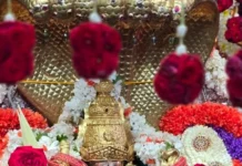 ಚಾಮುಂಡಿ ಬೆಟ್ಟದಲ್ಲಿ ಆಷಾಢ ಮಾಸ ಸಂಭ್ರಮ: ಹರಿದು ಬಂದ ಭಕ್ತಗಣ