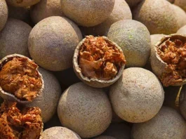 ಬೆಲ್ಲದ ಹಣ್ಣಿನಲ್ಲಿದೆ ಔಷಧೀಯ ಗುಣ