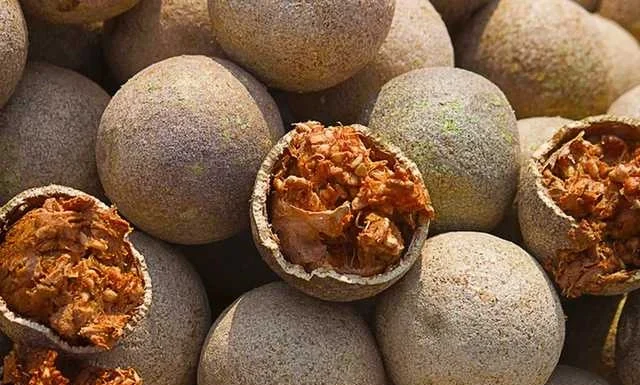ಬೆಲ್ಲದ ಹಣ್ಣಿನಲ್ಲಿದೆ ಔಷಧೀಯ ಗುಣ