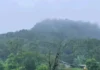 16 ರಾಜ್ಯಗಳಲ್ಲಿ ಭಾರಿ ಮಳೆ ನಿರೀಕ್ಷೆ