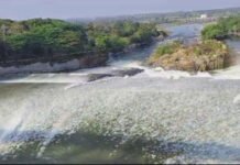 ತ.ನಾಡಿಗೆ ೧೫ ದಿನ ೩.೫೦೦ ಕ್ಯೂಸೆಕ್ ನೀರು ಬಿಡಲು ಶಿಫಾರಸು