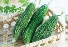 ಹಾಗಲಕಾಯಿಯ ಆರೋಗ್ಯಕಾರಿ ಪ್ರಯೋಜನಗಳು