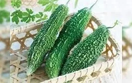 ಹಾಗಲಕಾಯಿಯ ಆರೋಗ್ಯಕಾರಿ ಪ್ರಯೋಜನಗಳು