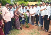 ಪ್ರತಿಯೊಬ್ಬರೂ ತಮ್ಮ ಮನೆ ಹಾಗೂ ಸುತ್ತಮುತ್ತಲಿನ ಪ್ರದೇಶದಲ್ಲಿ ಗಿಡಗಳನ್ನು ನೆಟ್ಟು ಕಾಪಾಡಬೇಕು: ಡಾ.ಬಸವರಾಜೇಂದ್ರ