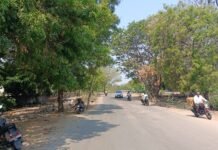 94 ಮರ ತೆರವಿಗೆ 27.21 ಲಕ್ಷ ಕೇಳಿದ ಅರಣ್ಯ ಇಲಾಖೆ