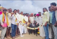 ಗುರುಮಠಕಲ್ ಕುರಿ ಆಡು ಮಾರಾಟಕ್ಕೆ ಬಂದ ರೈತರಿಗೆ ಅದ್ದೂರಿ ಸನ್ಮಾನ