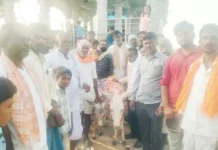 ಮಳೆರಾಯನ ಬರುವಿಕೆಗೆ ಪಾಡುಪಲ್ಲಿ ಗ್ರಾಮದಲ್ಲಿ ಕತ್ತೆಗಳ ಮದುವೆ !