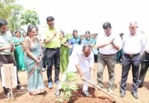 ಪರಿಸರದ ಜೊತೆಗಿದ್ದರೆ ಆರೋಗ್ಯ ವೃದ್ಧಿ: ಯು.ಟಿ.ಖಾದರ್