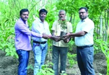 ಹನಿ ನೀರಾವರಿ: ರೈತರಿಗೆ ಮಾದರಿ