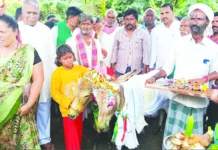 ಮಳೆಗಾಗಿ ಕಪ್ಪೆ, ಕತ್ತೆ ಮದುವೆ