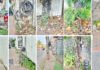 ಮಂಗಳೂರು ಸಿಟಿ ಸೊಬಗನ್ನು ಕಳೆದು ಕೊಂಡಿದೆ