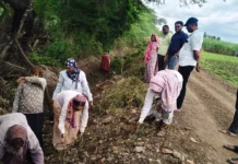ಪಕ್ಷ ಸಂಘಟನೆಗೆ ಹೊಸ ಚೈತನ್ಯ: ತಾಲ್ಲೂಕು ಘಟಕಗಳ ಪುನರ್ರಚನೆಗೆ ಜೆಡಿಎಸ್ ನಿರ್ಧಾರ