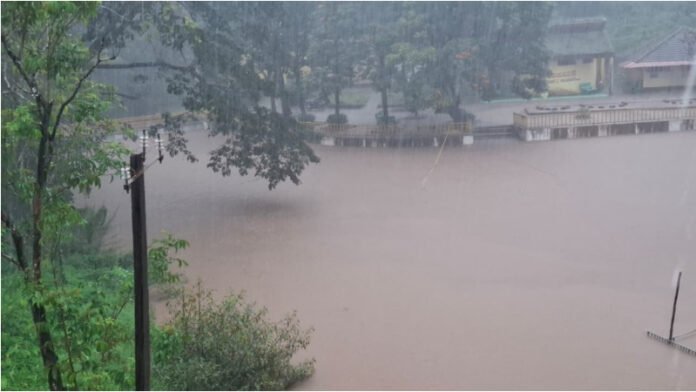 25Rain_photo_2
