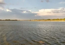 ಆರು ಮಂದಿ ಆತ್ಮಹತ್ಯೆ