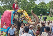 ದಸರಾ ;ಗಜ ಪಯಣಕ್ಕೆ ಅದ್ಧೂರಿ ಚಾಲನೆ ನಾಯಕನಿಲ್ಲದೆ ಹೆಜ್ಜೆ ಹಾಕಿದ ಆನೆಗಳು ಕೆ.ಪ್ರತಾಪ್ ಹುಣಸೂರು