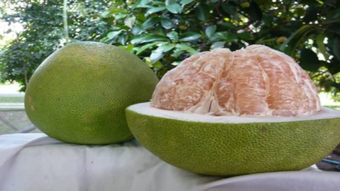3.Health Tips -Uses of jackfruit