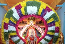 ಇಂದಿನಿಂದ ಆಡಿ ಮಹೋತ್ಸವ
