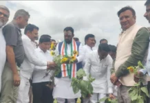 ಎರಡು ದಿನದಲ್ಲಿ ಬೆಳೆಹಾನಿ ಸಮಗ್ರ ವಿವರ ಸಲ್ಲಿಸಿ