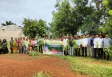 ಸಾರ್ವಜನಿಕರು ಹಾಗೂ ರೈತರು ಪಾರ್ಥೇನಿಯಂ ಕಳೆ ನಿರ್ಮೂಲನೆಗೆ ಮುಂದಾಗಿ : ಡಾ.ಎಸ್.ವಿ.ಪಾಟೀಲ್