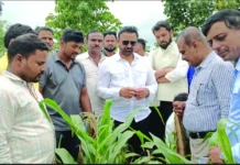 ಬೆಳೆ ಹಾನಿಗೆ ಪರಿಹಾರ ಒದಗಿಸಲು ಪ್ರಯತ್ನ
