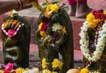 ನಾಗರ ಪಂಚಮಿ: ಪ್ಲಾಸ್ಟಿಕ್ ಮುಕ್ತವಾಗಿ ಆಚರಿಸಲು ಸೂಚನೆ